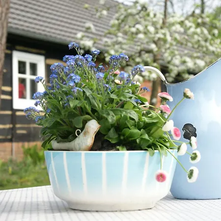 Im Foersterhof Tatil Evi