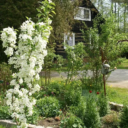 Im Försterhof * Burg Kauper