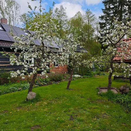 Im Foersterhof Holiday home Burg (Spreewald)